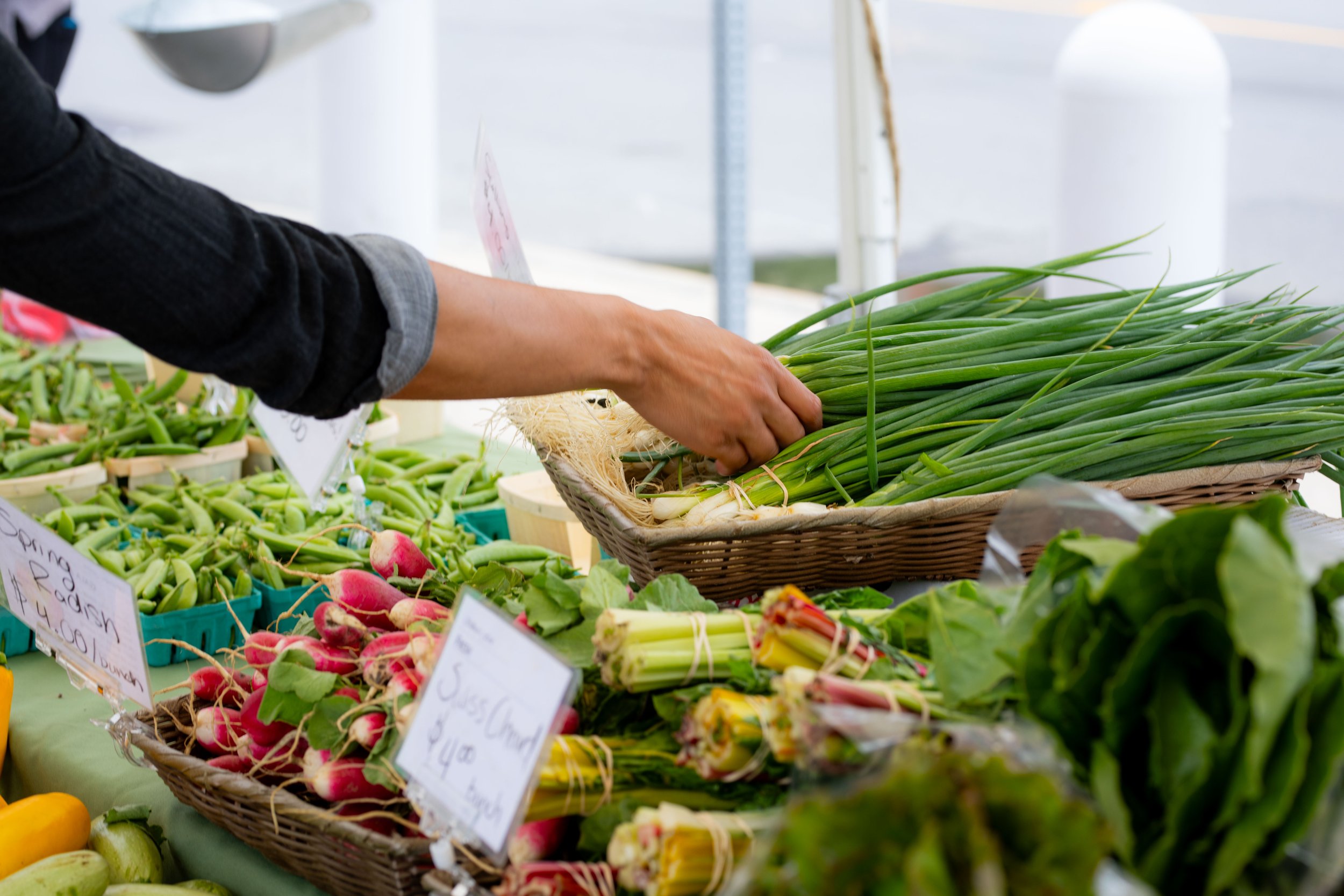 FarmersMarket-65.jpg