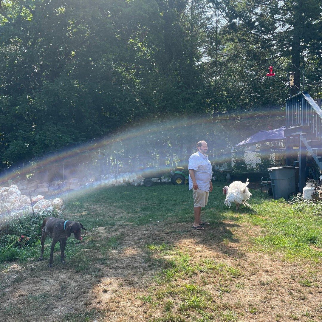 Farmer Spotlight: Cloutman Farms

Nick Cloutman (@cloutmanfarms), new to MFM farmers markets this year, grows mushrooms on a small plot of land in Peabody, MA that are organically cultivated using sustainable and regenerative agricultural practices. 